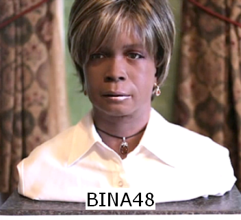 BINA48